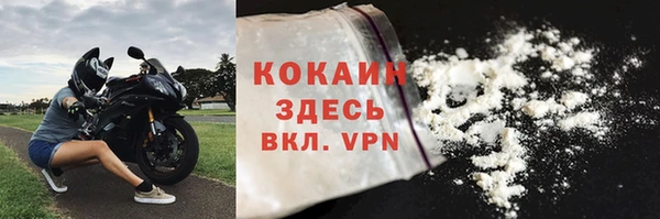 сатива Новодвинск