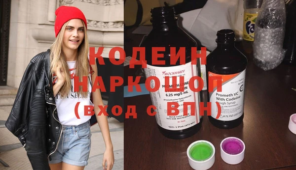 сатива Новодвинск