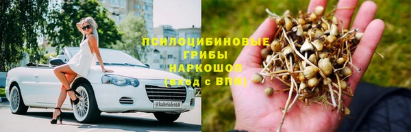 хмурый Нефтекумск