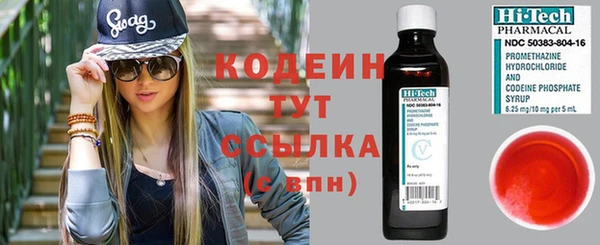 сатива Новодвинск