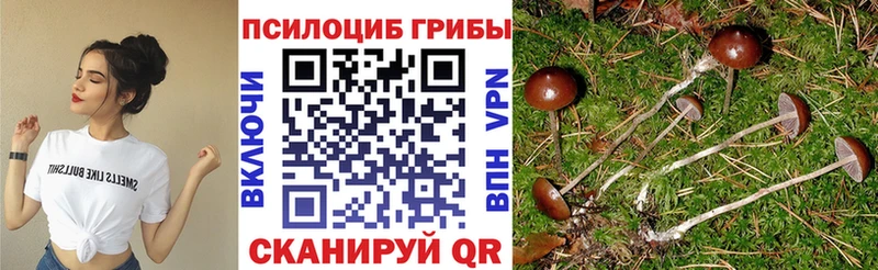 Галлюциногенные грибы мицелий Волоколамск