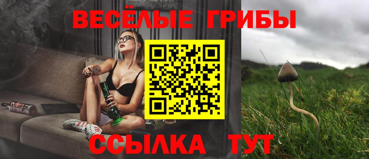 Галлюциногенные грибы Cubensis  Галлюциногенные грибы MAGIC MUSHROOMS  Волоколамск  Вход с VPN 
