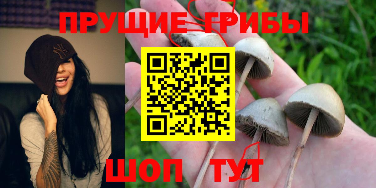 Псилоцибиновые грибы MAGIC MUSHROOMS  Волоколамск 